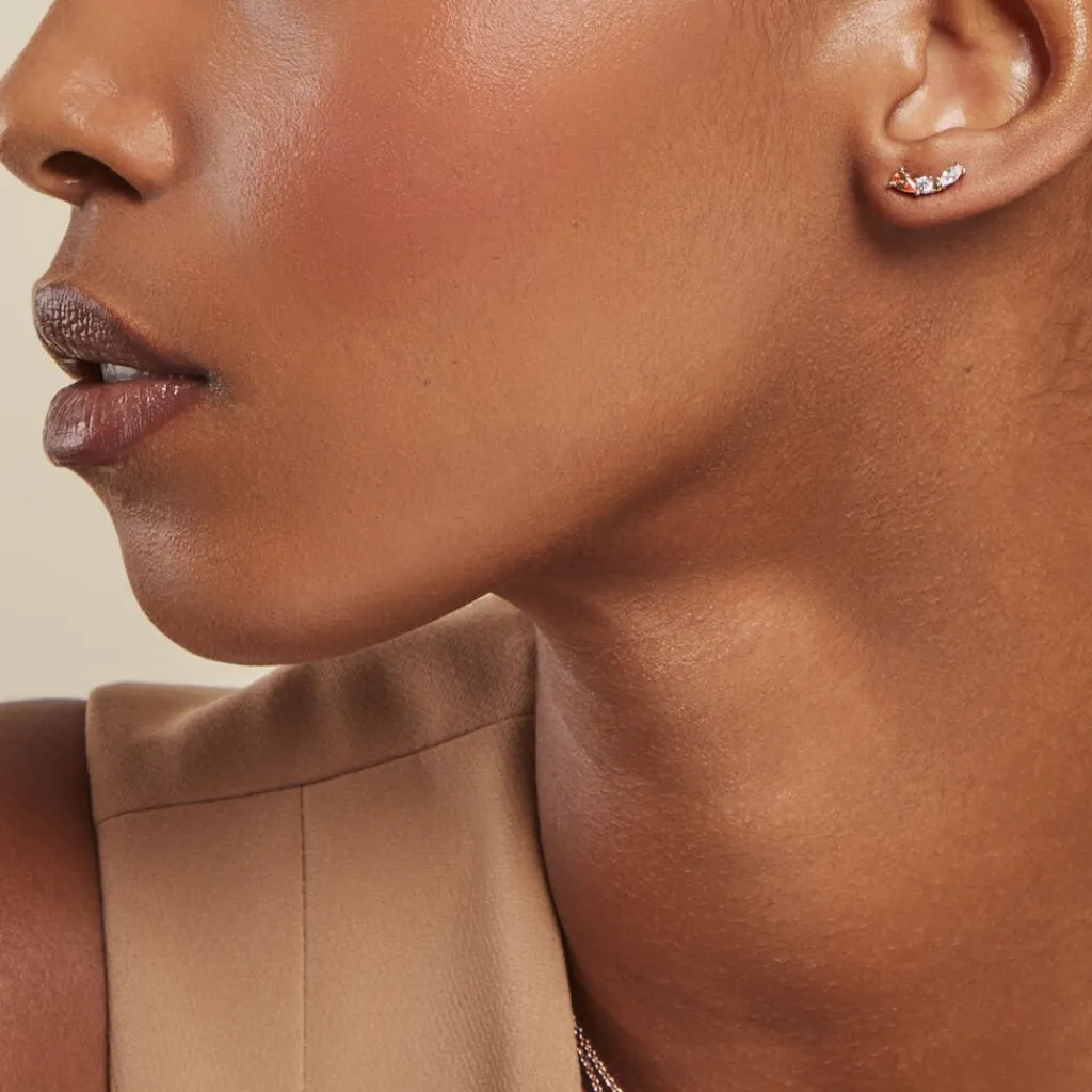 Histoire d'Or Boucles D'oreilles Puces Camelia Argent Rose Oxyde New