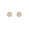 Histoire d'Or Boucles D'oreilles Puces Charletta Or Jaune Diamant New