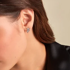 Histoire d'Or Boucles D'oreilles Puces Cezar Or Jaune Diamant