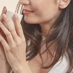 Histoire d'Or Boucles D'oreilles Puces Evaelle Papillon Or Jaune Oxyde De Zirconium Online