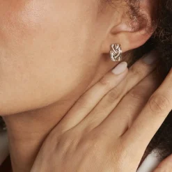 Histoire d'Or Boucles D'oreilles Puces Leopoldine Or Jaune Diamant New