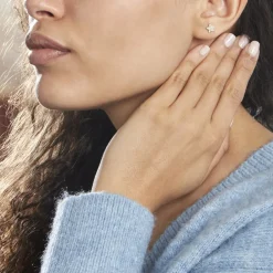 Histoire d'Or Boucles D'oreilles Puces Or Jaune Fragaria Oxydes Discount