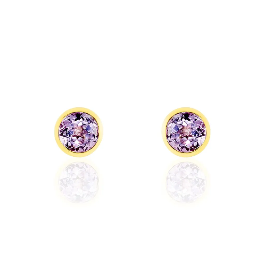 Histoire d'Or Boucles D'oreilles Puces Parmeclos Or Jaune Amethyste Best