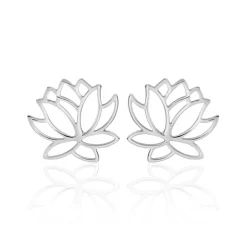 Histoire d'Or Boucles D'oreilles Puces Rosita Argent Blanc Discount