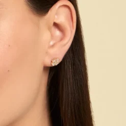 Histoire d'Or Boucles D'oreilles Puces Rhosyn Plaqué Or Jaune Oxyde Best