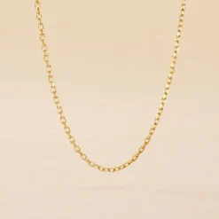 Histoire d'Or Chaîne Bartal Or Jaune Hot