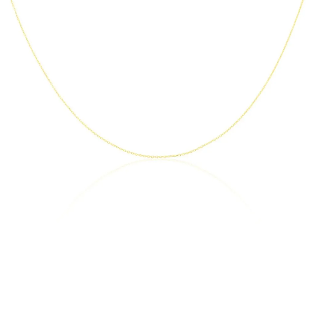 Histoire d'Or Chaîne Or Jaune Igoa New