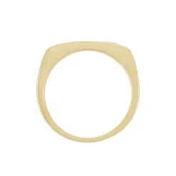 Histoire d'Or Chevaliere Plaqué Or Gregh Email Clearance