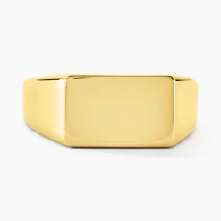 Histoire d'Or Chevalière Luciano acier doré Hot