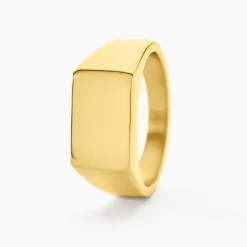 Histoire d'Or Chevalière Luciano acier doré Hot