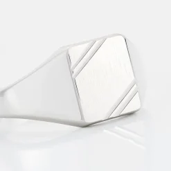 Histoire d'Or Chevalière Daniel argent blanc