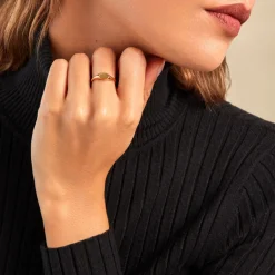 Histoire d'Or Chevalière Griffin Or Jaune Hot