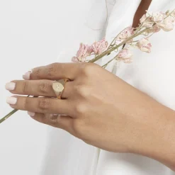 Histoire d'Or Chevalière Gwennen Plaqué Or Oxyde De Zirconium Online