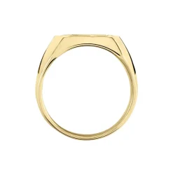 Histoire d'Or Chevalière Leoncette Plaqué Or Jaune Sale