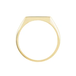 Histoire d'Or Chevalière Lionel Plaqué Or Jaune Online