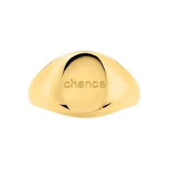 Histoire d'Or Chevalière Sabadell Acier Jaune Best