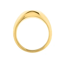 Histoire d'Or Chevalière Sabadell Acier Jaune Best