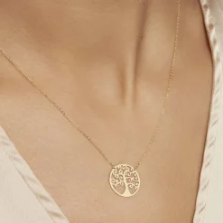 Histoire d'Or Collier Clemenca Or Jaune New