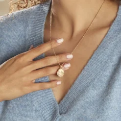 Histoire d'Or Collier Iago Plaqué Or Oxydes De Zirconium Online