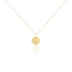 Histoire d'Or Collier Iago Plaqué Or Oxydes De Zirconium Online