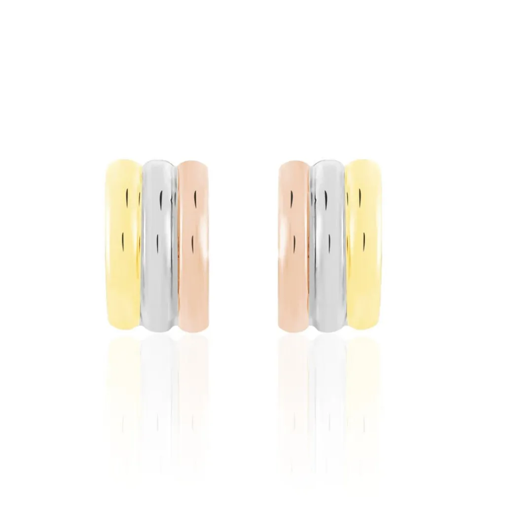 Histoire d'Or Créoles Igora Or Tricolore