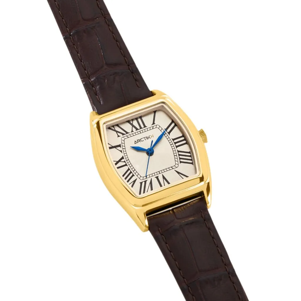 ARCTIK Montre Globe Argenté Outlet