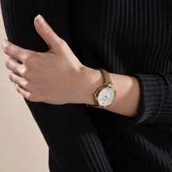 HUGO BOSS Montre Boss Majesty Argenté