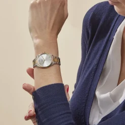 CLUSE Montre Feroce Petite Argenté cadran argenté fond argenté bracelet acier bicolore Clearance