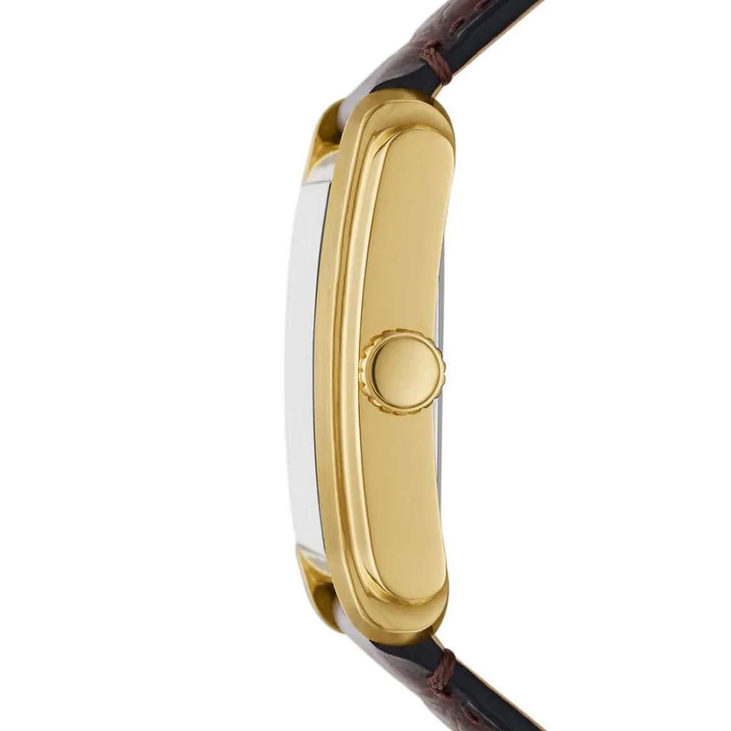 FOSSIL Montre Carraway Argenté cadran doré fond argenté bracelet cuir marron Best