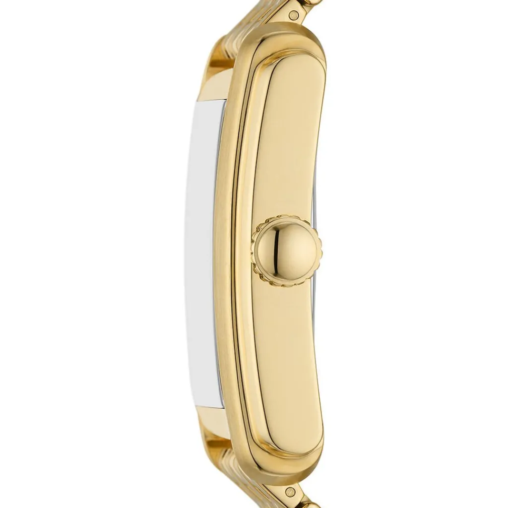 FOSSIL Montre Carraway Doré cadran doré fond doré bracelet acier doré Best