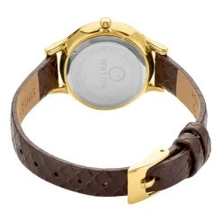 O WATCH Montre Tiny Blanc New