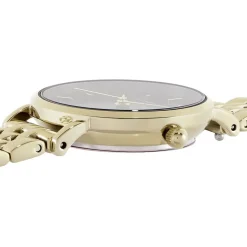 ROSEFIELD Montre The Small Edit Noir cadran doré fond noir bracelet acier doré Best