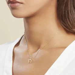 Histoire d'Or Pendentif Egide Fer A Cheval Or Jaune Hot