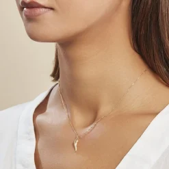 Histoire d'Or Pendentif Felicette Corne Abondance Or Jaune New