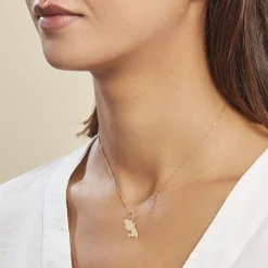 Histoire d'Or Pendentif Gaietana Martinique Or Jaune Online