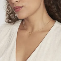 Histoire d'Or Pendentif Salamandre Or Jaune Sale