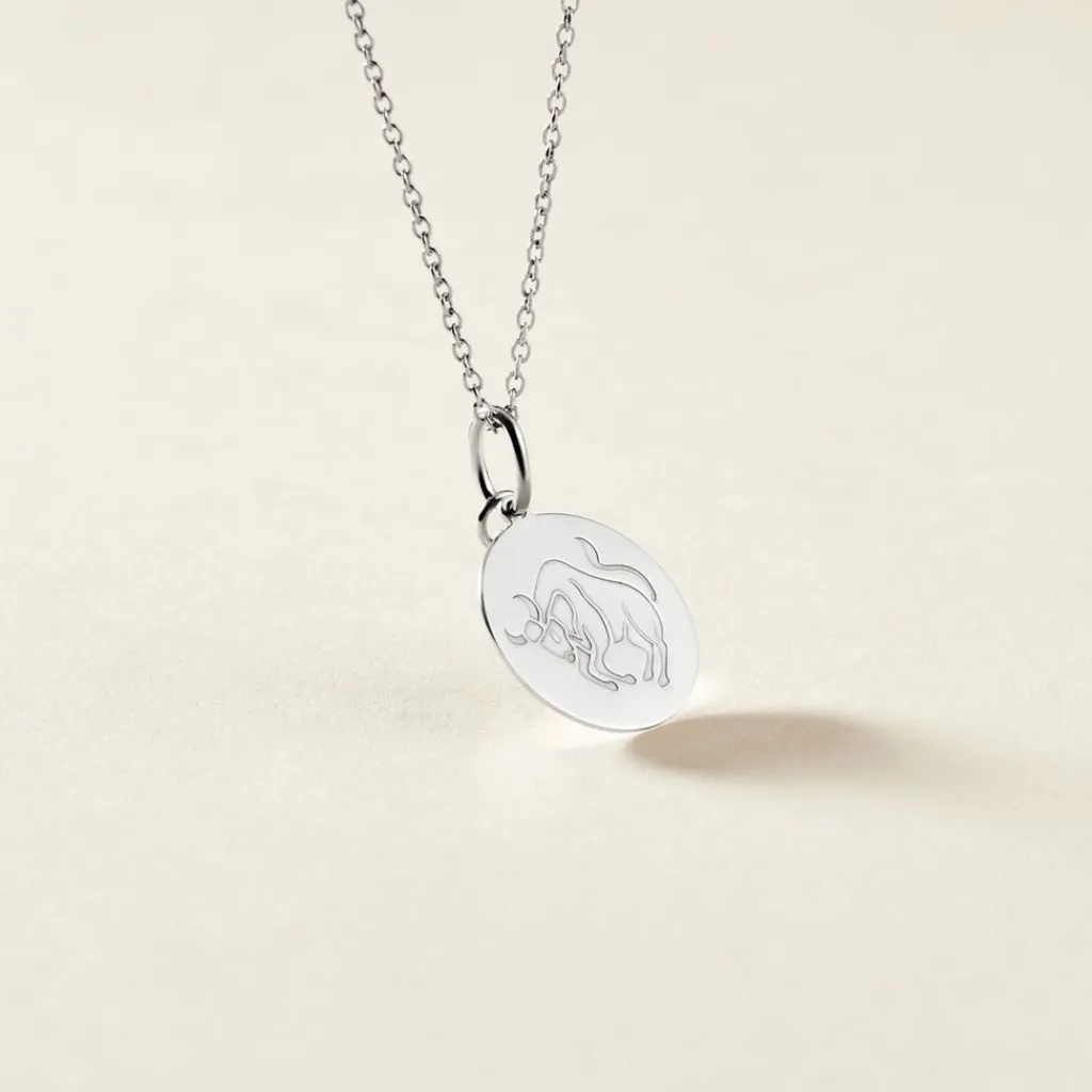 Histoire d'Or Pendentif Zodiaque Rond Argent Blanc