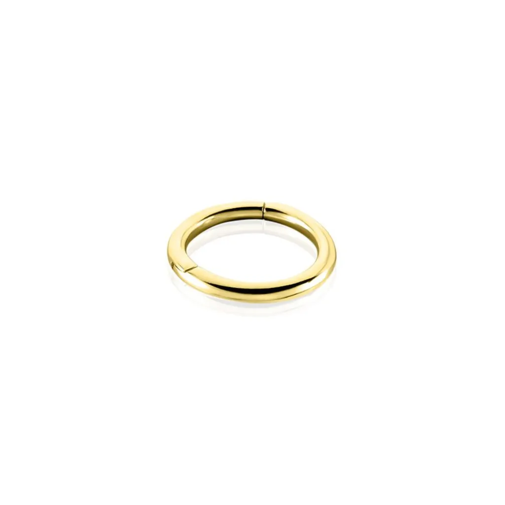 Histoire d'Or Piercing D'oreille Aloes or jaune Outlet